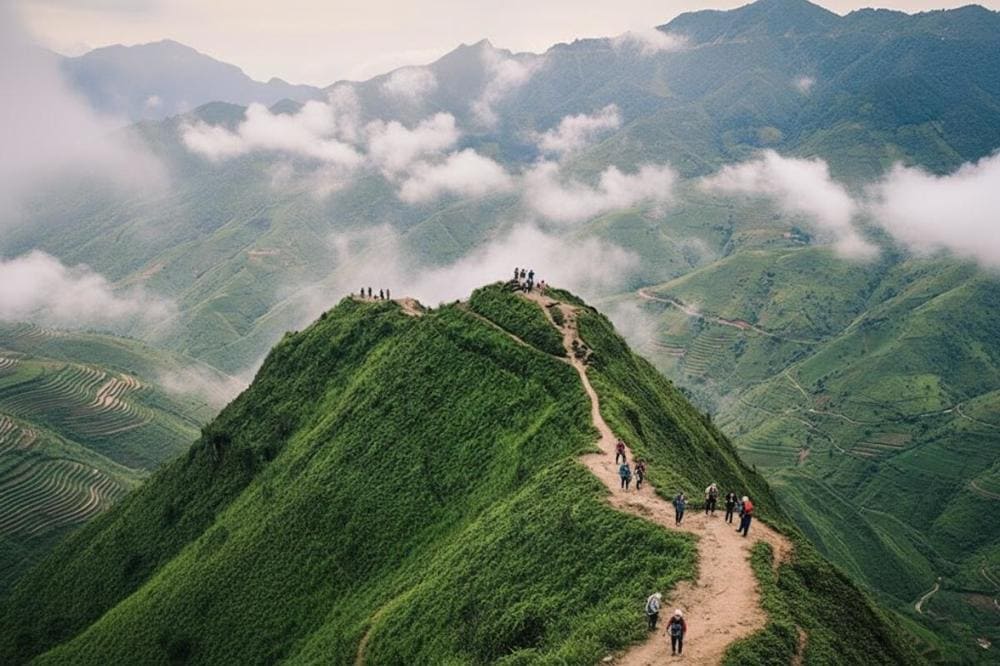 Sống lưng khủng long Tà Xùa